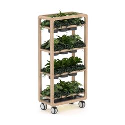 Rover Mobile Planter 1920mm H Timber & White with Gray Panelling
