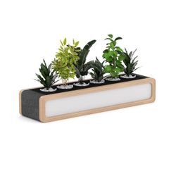 Rover Mobile Planter Box 1650mm W Timber & White with Gray Panelling