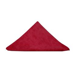 Cleanlink Microfibre Cleaning Cloth Red