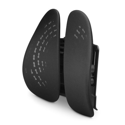 Kensington Smartfit Back Support Conform