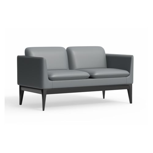 Madison 2-Seater Lounge Charcoal PU