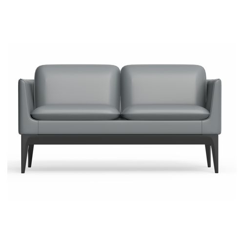 Madison 2-Seater Lounge Charcoal PU