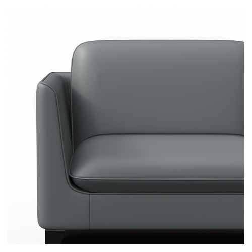 Madison 2-Seater Lounge Charcoal PU