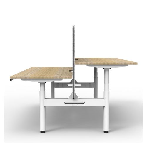 Rapid Halo Plus Height Adjustable Back to Back Desk with Grey Eco Screen 1800mm White Frame Natural Oak Scallop Top