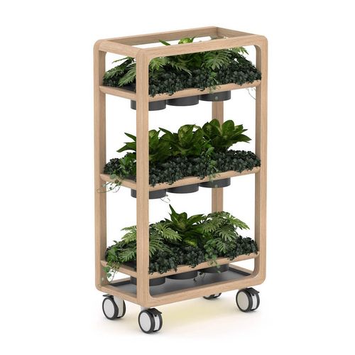Rover Mobile Planter 1620mm H Timber & White with Gray Panelling