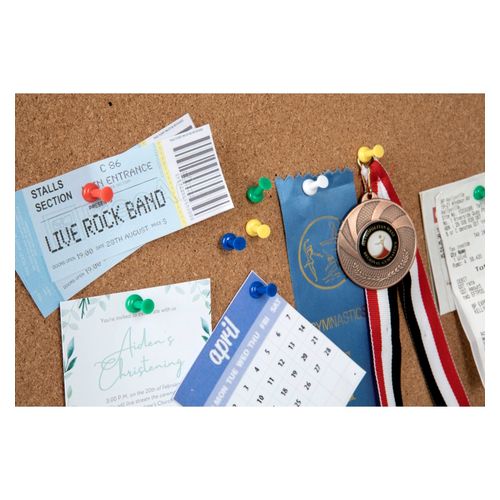 Esselte Push Pins Assorted Pack 50