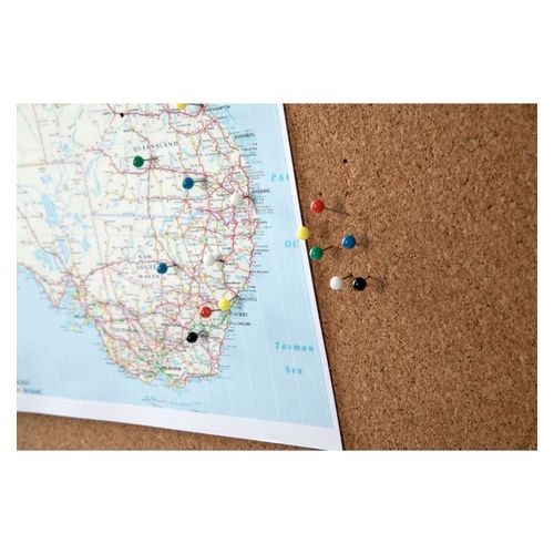 Esselte Pins Map Assorted Pack 200