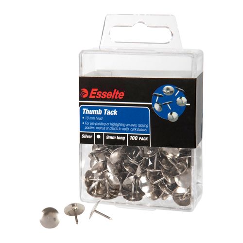 Esselte Pins Drawing Silver Box 100