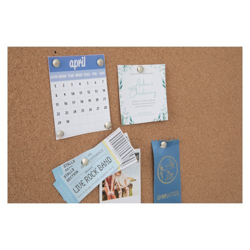 Esselte Pins Drawing Silver Box 100