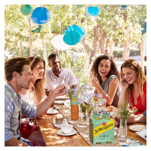 Schweppes Dry Ginger Ale Mixer Drink Bottle 300ml Carton 24