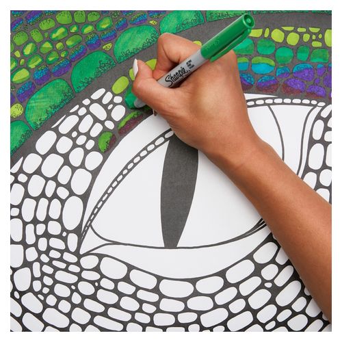 Sharpie Marker Ultra Fine Assorted Pack 12