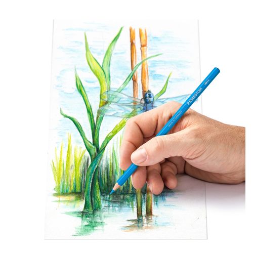 Staedtler Watercolour Pencils Assorted Colours Tin 24