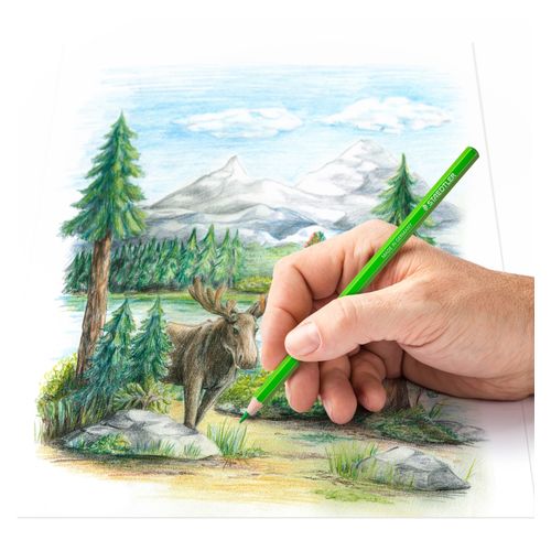 Staedtler Coloured Pencils Assorted Colours Tin 72